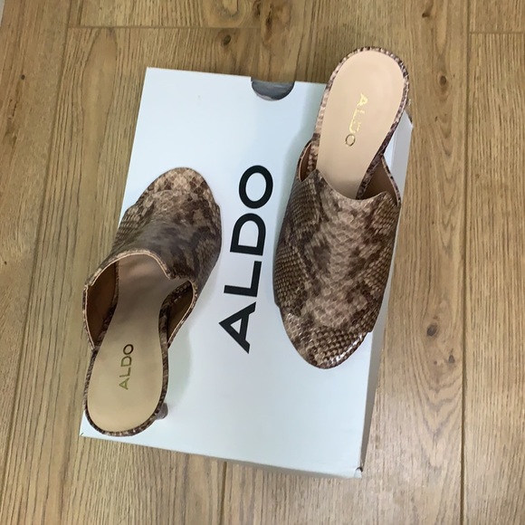 ALDO Eieraria - Picture 2 of 4